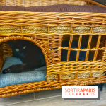 Chat-Rivari Café