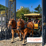 Tous en piste ! à Maisons-Laffitte (78): poneys, calèche et spectacles équestres gratuits au château - IMG 8081 jpg