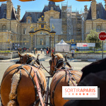 Tous en piste ! à Maisons-Laffitte (78): poneys, calèche et spectacles équestres gratuits au château - IMG 8154 jpg
