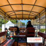 Tous en piste ! à Maisons-Laffitte (78): poneys, calèche et spectacles équestres gratuits au château - IMG 8163 jpg