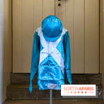 Tous en piste ! à Maisons-Laffitte (78): poneys, calèche et spectacles équestres gratuits au château - IMG 8185 jpg