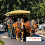 Tous en piste ! à Maisons-Laffitte (78): poneys, calèche et spectacles équestres gratuits au château