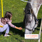 Tous en piste ! à Maisons-Laffitte (78): poneys, calèche et spectacles équestres gratuits au château - IMG 8256 jpg