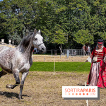 Tous en piste ! à Maisons-Laffitte (78): poneys, calèche et spectacles équestres gratuits au château - IMG 8323 jpg