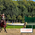 Tous en piste ! à Maisons-Laffitte (78): poneys, calèche et spectacles équestres gratuits au château - IMG 8370 jpg