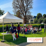 Tous en piste ! à Maisons-Laffitte (78): poneys, calèche et spectacles équestres gratuits au château - IMG 8423 jpg