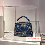 Exposition Louis Vuitton Cornette de Saint Cyr - IMG 8155 jpg