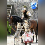 Les aigles des remparts