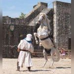 Les aigles des remparts