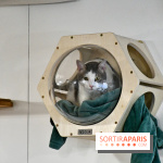 Koneko Work : le café coworking pour travailler en compagnie des chats - DSC 5237