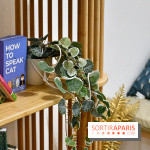 Koneko Work : le café coworking pour travailler en compagnie des chats - DSC 5244