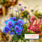 Les filles d'à côté - IMG 5229