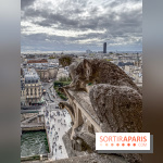 Visite des tours de Notre-Dame de Paris