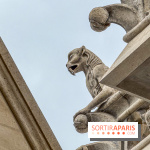 Visite des tours de Notre-Dame de Paris - IMG 7508