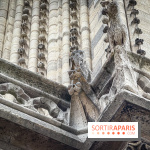 Visite des tours de Notre-Dame de Paris