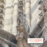 Visite des tours de Notre-Dame de Paris