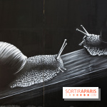 Festival de street art d'Antony 2025, nos photos 