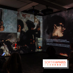 Exposition John Singer Sargent 'Éblouir Paris' au Musée d'Orsay - A7C08028