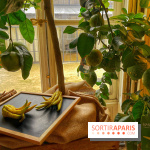 L'art des parfumeurs - IMG 5548