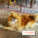 Etagère Café - IMG 5846