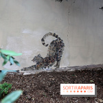 Ardif : nos photos de son exposition 'Felines Mechanimal' 