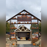 Val d’Europe : des animations insolites pendant les vacances de la Toussaint ! - IMG 1270