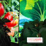 Jardiner : une exposition au cœur de la nature à vivre à la Cité des Sciences et de l'Industrie