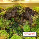 Jardiner : une exposition au cœur de la nature à vivre à la Cité des Sciences et de l'Industrie - fotor 1760436725984