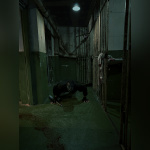 The Scary Trip : un escape game d'Halloween pas comme les autres ! - IMG 6363