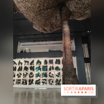 Exposition Générale : la Fondation Cartier raconte 40 ans d'expositions pour sa réouverture - fotor 1760961000607