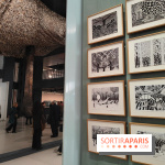 Exposition Générale : la Fondation Cartier raconte 40 ans d'expositions pour sa réouverture - fotor 1760960497661