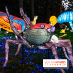 Thoiry Lumières Sauvages 2025 : le Bal des Esprits - A7C09480