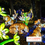 Thoiry Lumières Sauvages 2025 : le Bal des Esprits - A7C09485