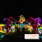 Thoiry Lumières Sauvages 2025 : le Bal des Esprits - A7C09541