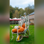 Les Forêts de la Terreur à Sherwood Parc - P1290156