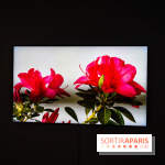 Exposition 'Couleurs de Corée, Lumière sur l’art contemporain coréen' au Centre Culturel Coréen - les photos - A7C09797