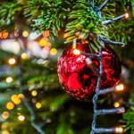 Les dimanches à l’Hippodrome Paris-Vincennes - BV 20241215131126BV1 6074