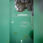 « Un siècle de conservation – de la Cité interdite au Musée du Palais » au Centre Culturel de Chine - 8小满