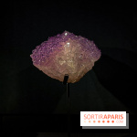 Rêveries de pierres : l'exposition rétrospective gratuite à l'Ecole des Arts Joailliers - IMG 0016