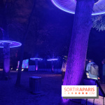 En voie d'illumination : Lumières de la nature : le festival nocturne hivernal du Jardin des Plantes