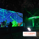 En voie d'illumination : Lumières de la nature : le festival nocturne hivernal du Jardin des Plantes
