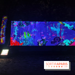 En voie d'illumination : Lumières de la nature : le festival nocturne hivernal du Jardin des Plantes