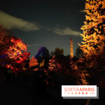 En voie d'illumination : Lumières de la nature : le festival nocturne hivernal du Jardin des Plantes - fotor 1762431370942