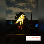 En voie d'illumination : Lumières de la nature : le festival nocturne hivernal du Jardin des Plantes