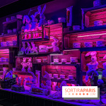 Les vitrines de Noël 2025 du Bon Marché : le grand magasin se métamorphose en (Bon) Marché de Noël - IMG 0758