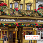 Noël à Disneyland Paris : Disney's Enchanted Christmas - IMG 1067