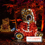 Lumières en Seine 2025, les photos du parcours de lumières - A7C00394