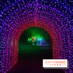 Lumières en Seine 2025, les photos du parcours de lumières - A7C00472