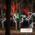 Lumières en Seine 2025, les photos du parcours de lumières - A7C00605