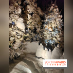 Le Grand Noël 2025 du château de Vaux-le-Vicomte : des décorations magiques pour une balade hivernale mémorable - fotor 1763143898130